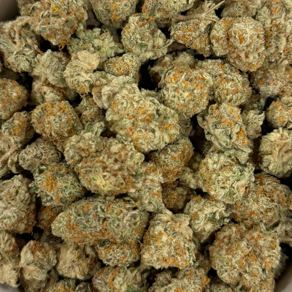 plat Platinum Punch Remix (AAA+) - Image 2