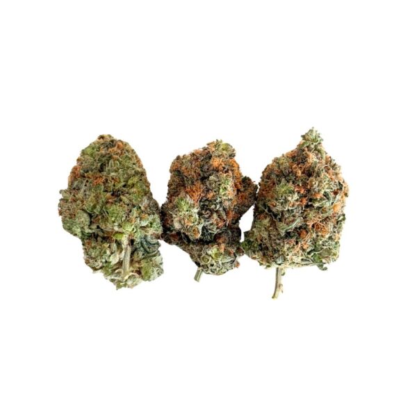 Northern Lights (AAAA-)