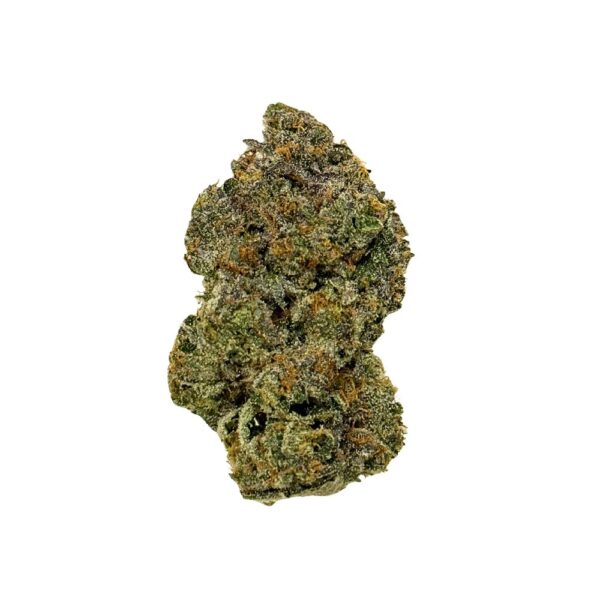 Baby Yoduh (RARE AAAA+)