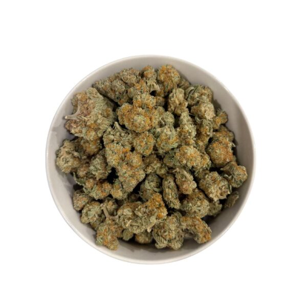 Dream Machine (AAA+)