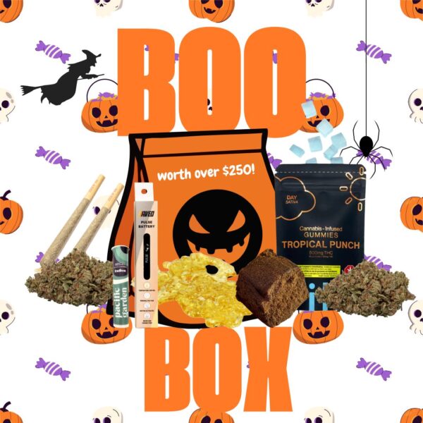 Ultimate Boo Box Bundle